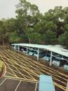永沁油漆工程 - 汽車棚鐵皮屋頂塗刷工程 指定範圍屋頂完工